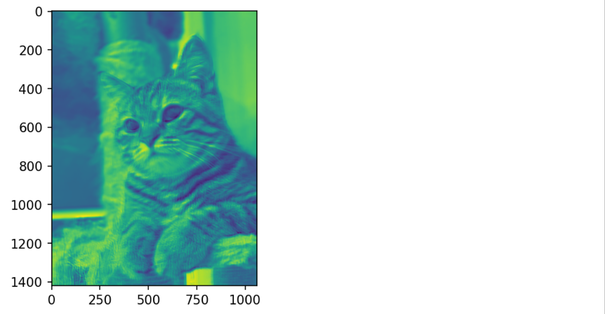Visualizing Kernels and Feature Maps in Deep Learning Model (CNN)